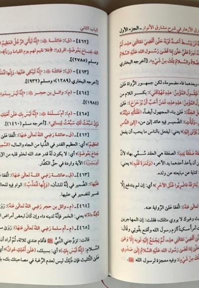 Mebarikul Ezhar Fi Şerhi Meşarikul Envar